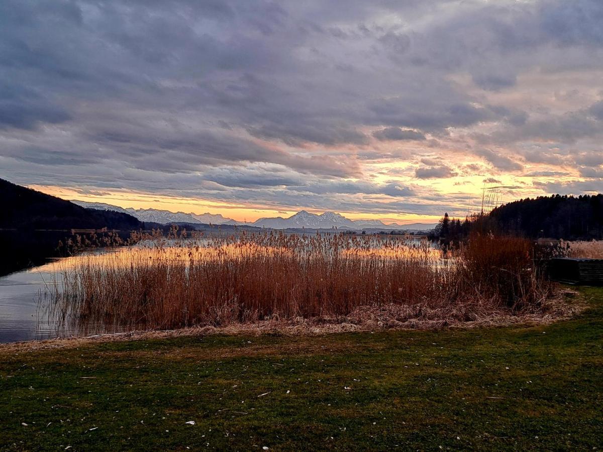 Ferienwohnung Wallersee Ноймаркт-ам-Валлерзе Екстер'єр фото